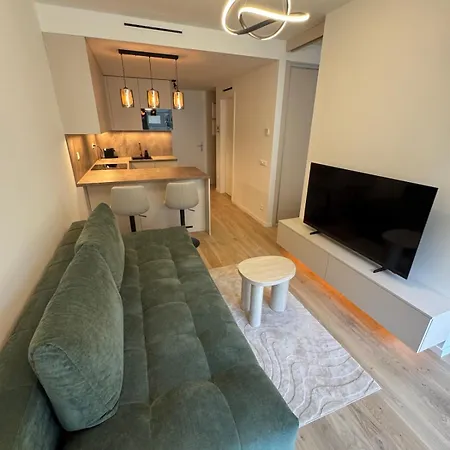 公寓 Designer In The Heart Of 布拉迪斯拉发